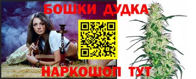 гашик Аргун