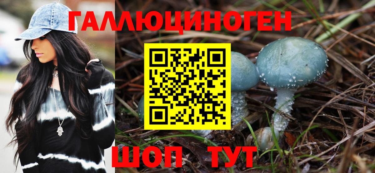 Псилоцибиновые грибы MAGIC MUSHROOMS  Вход с VPN  Ачинск  Псилоцибиновые грибы Psilocybine cubensis 