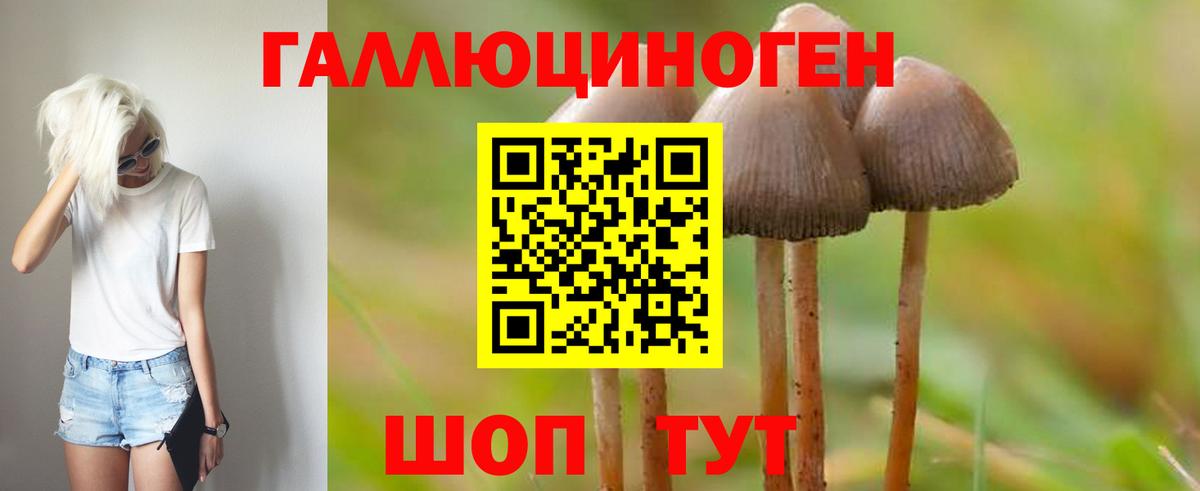 Псилоцибиновые грибы MAGIC MUSHROOMS Ачинск